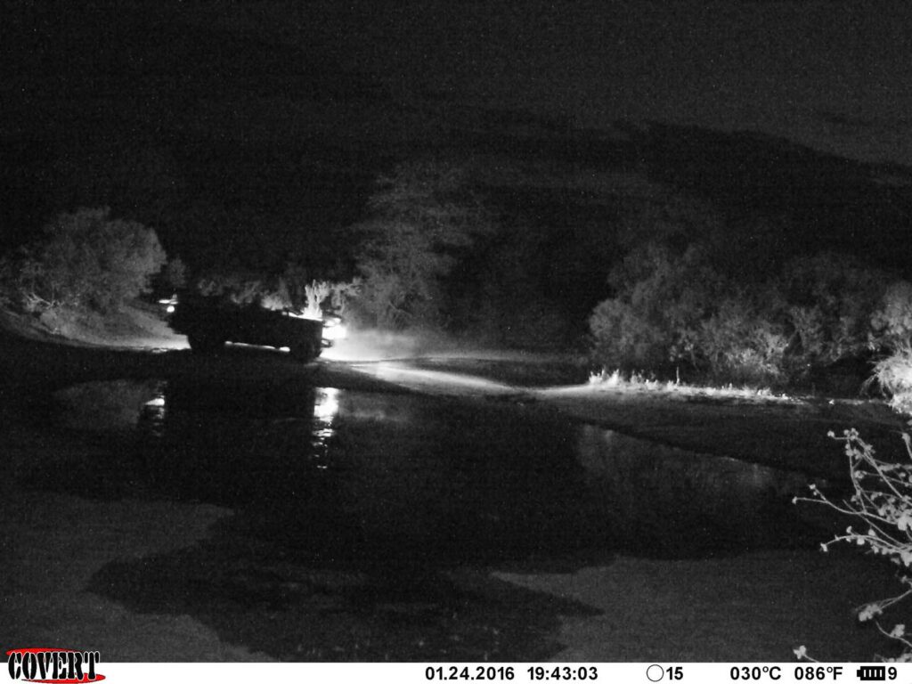A night time visitation at the pan A night time visitation at the pan