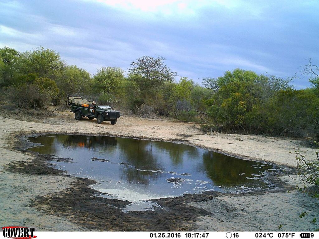 Photographer, Kevin MacLaughlin, makes a turn at Sneaky Pan on his game drive route Photographer, Kevin MacLaughlin, makes a turn at Sneaky Pan on his game drive route