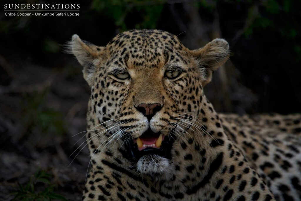 Looking into the eyes of White Dam