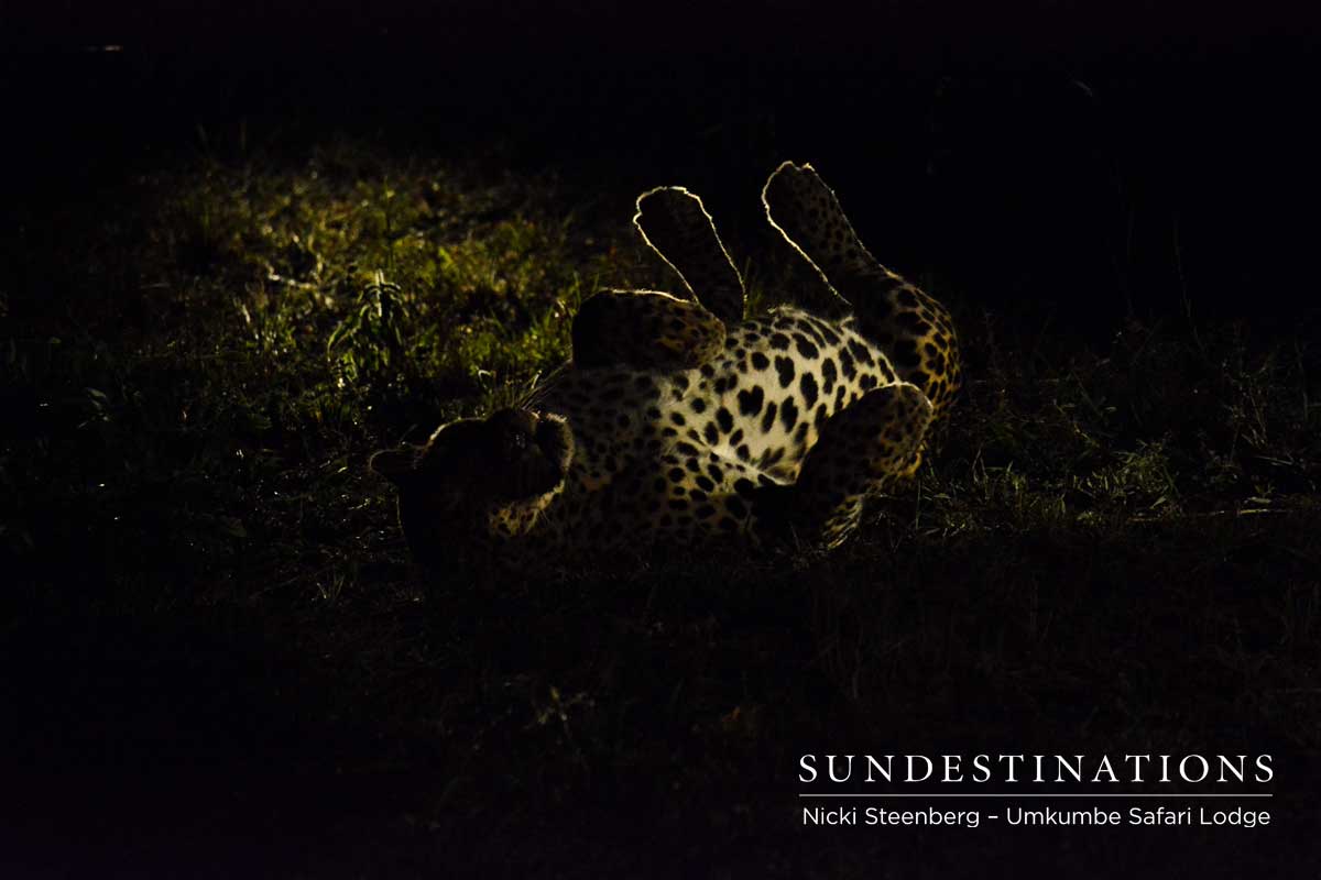 Bicycle Crossing Male