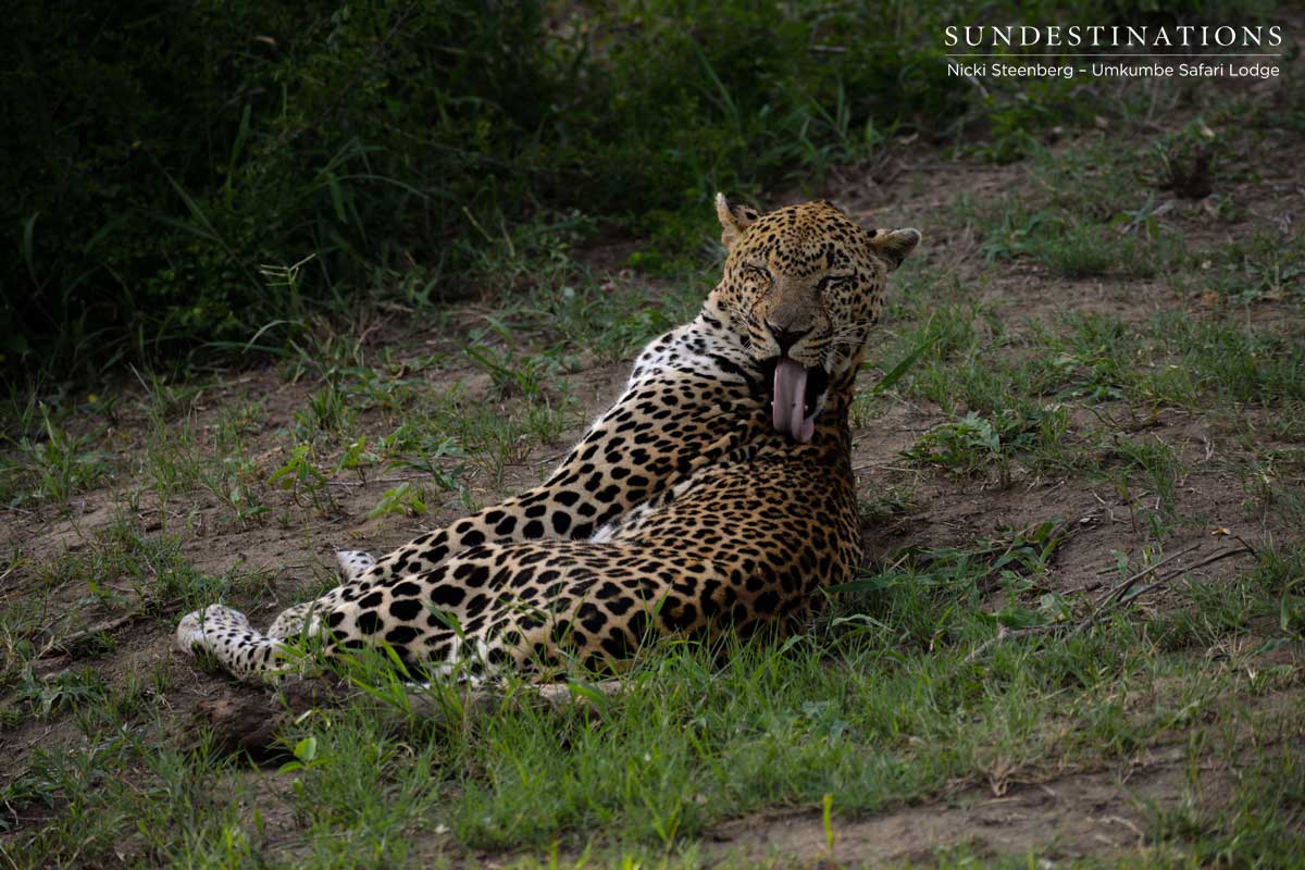Bicycle Crossing Male Grooming