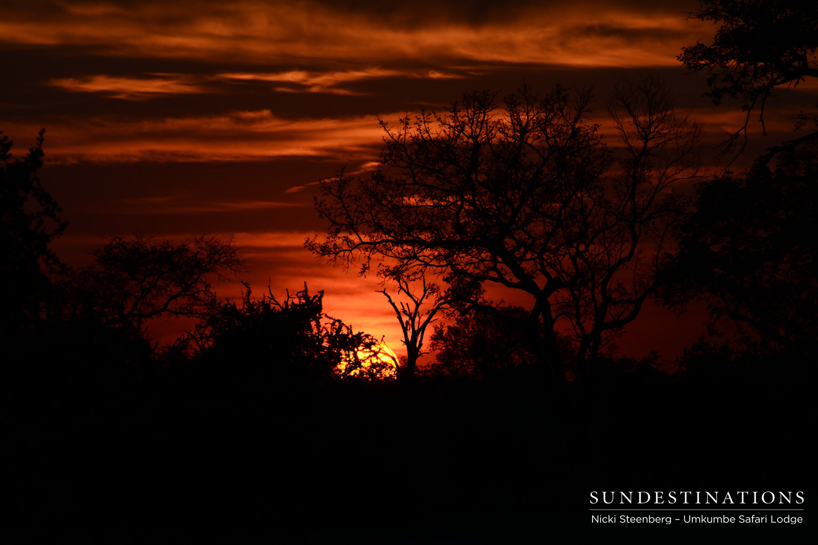Umkumbe Sunset Sabi Sand Umkumbe Sunset Sabi Sand