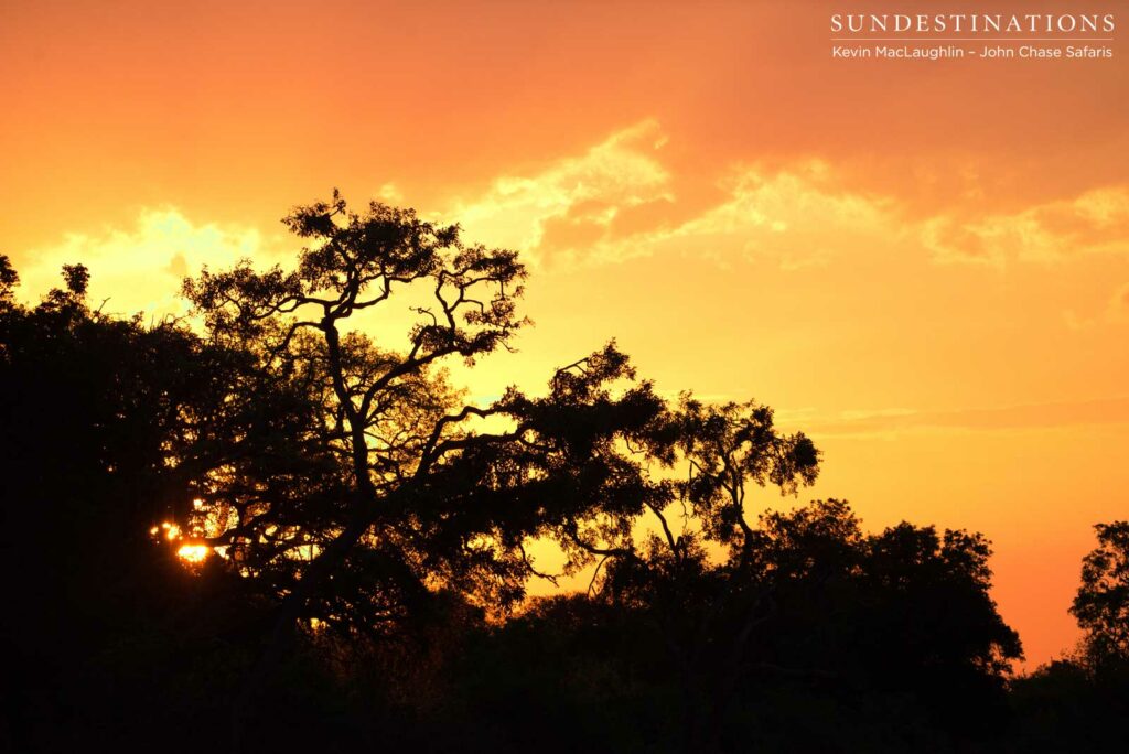 Chobe River sees the end of another day as the sun dips behind the trees and ignites the sky Chobe River sees the end of another day as the sun dips behind the trees and ignites the sky