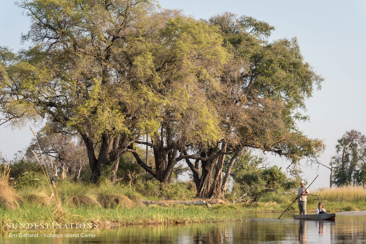 Mokoro Trip in Waterways