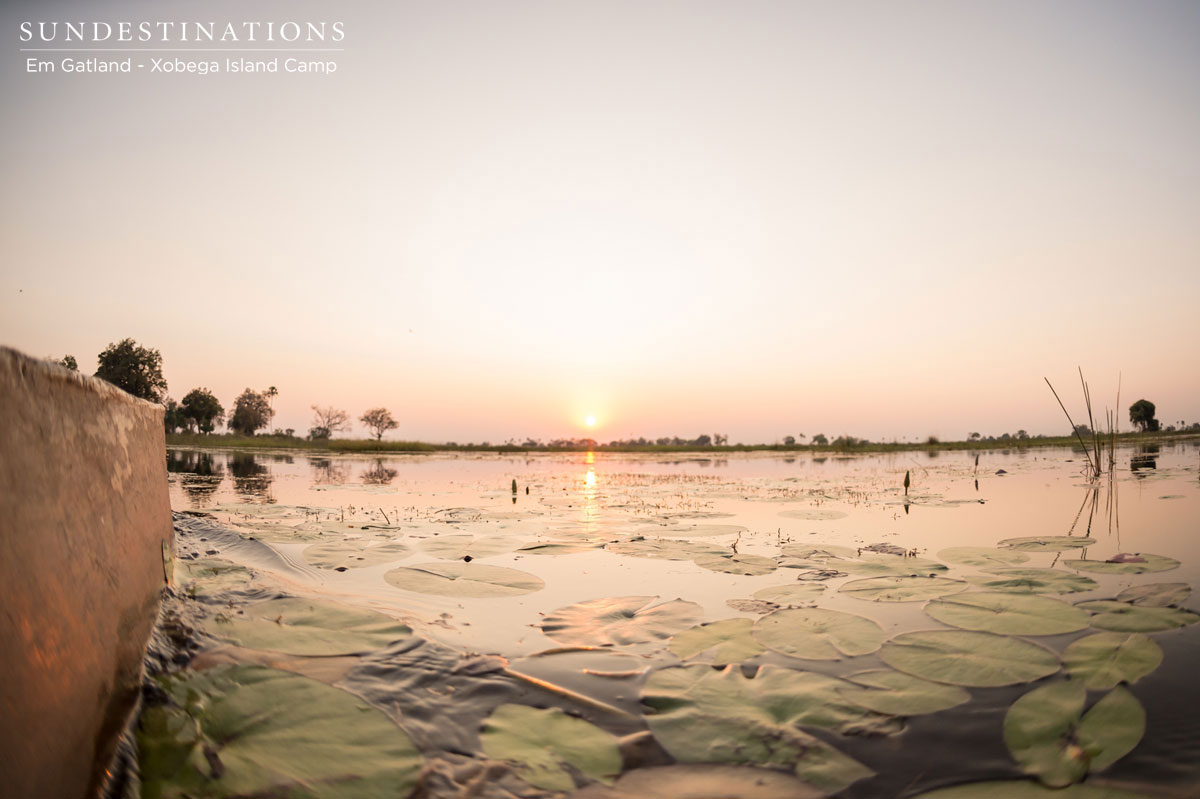 Cruising the Waterways