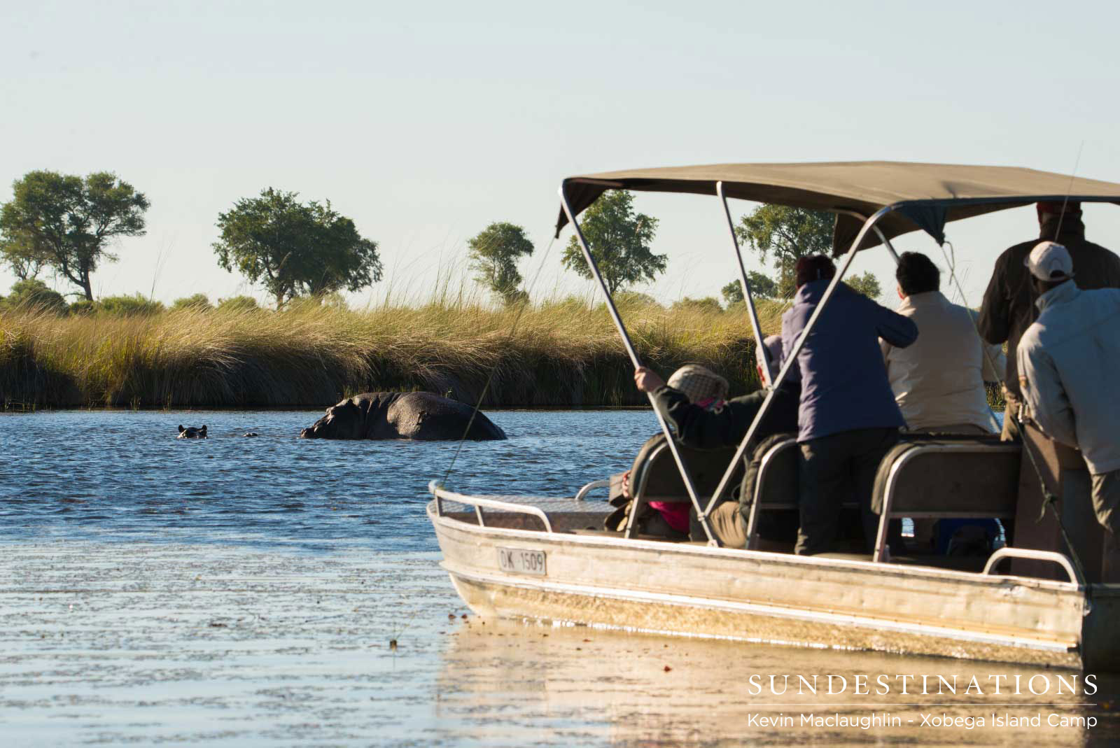 Xoebga Island Hippos Xoebga Island Hippos