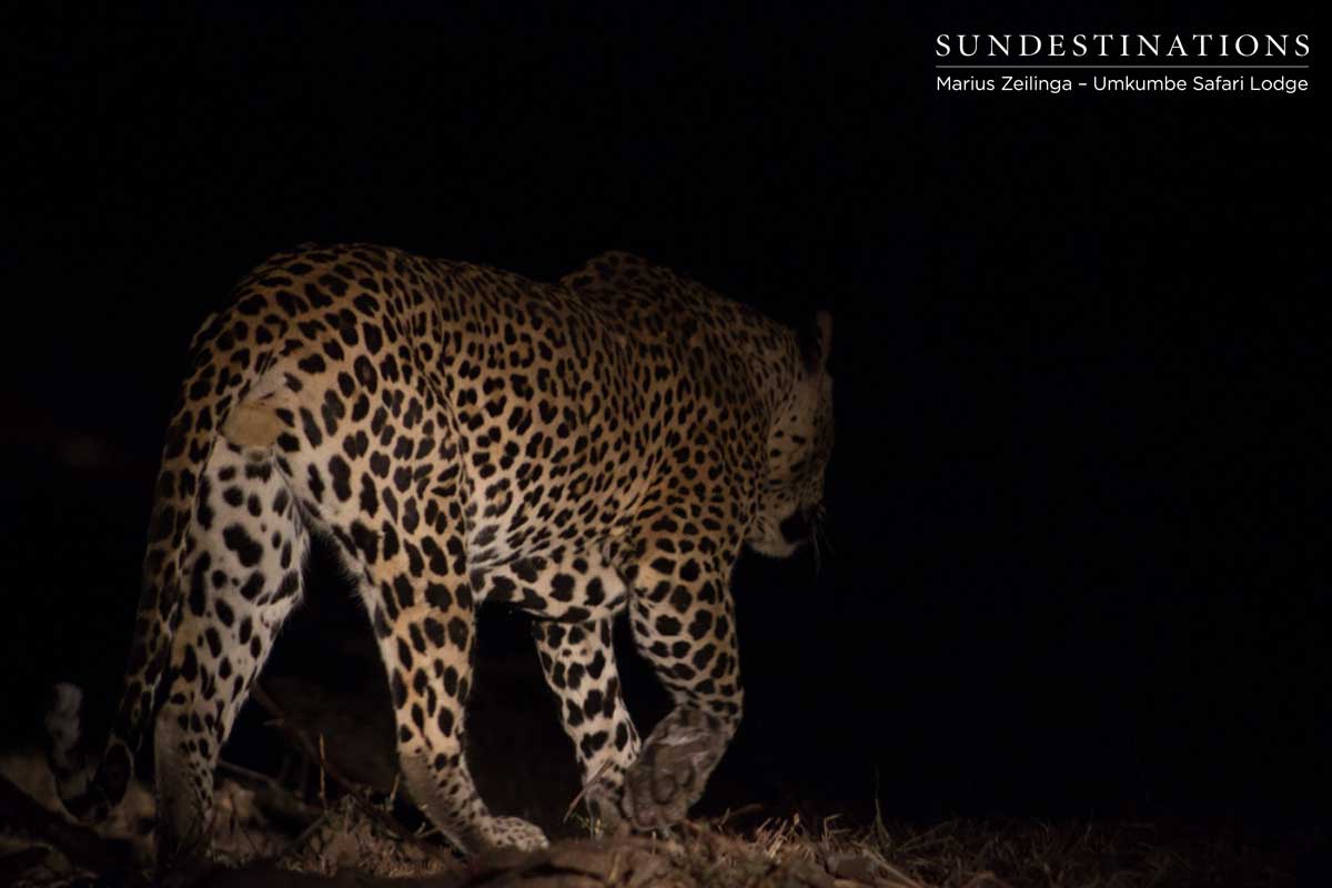 Bicycle Crossing Tom