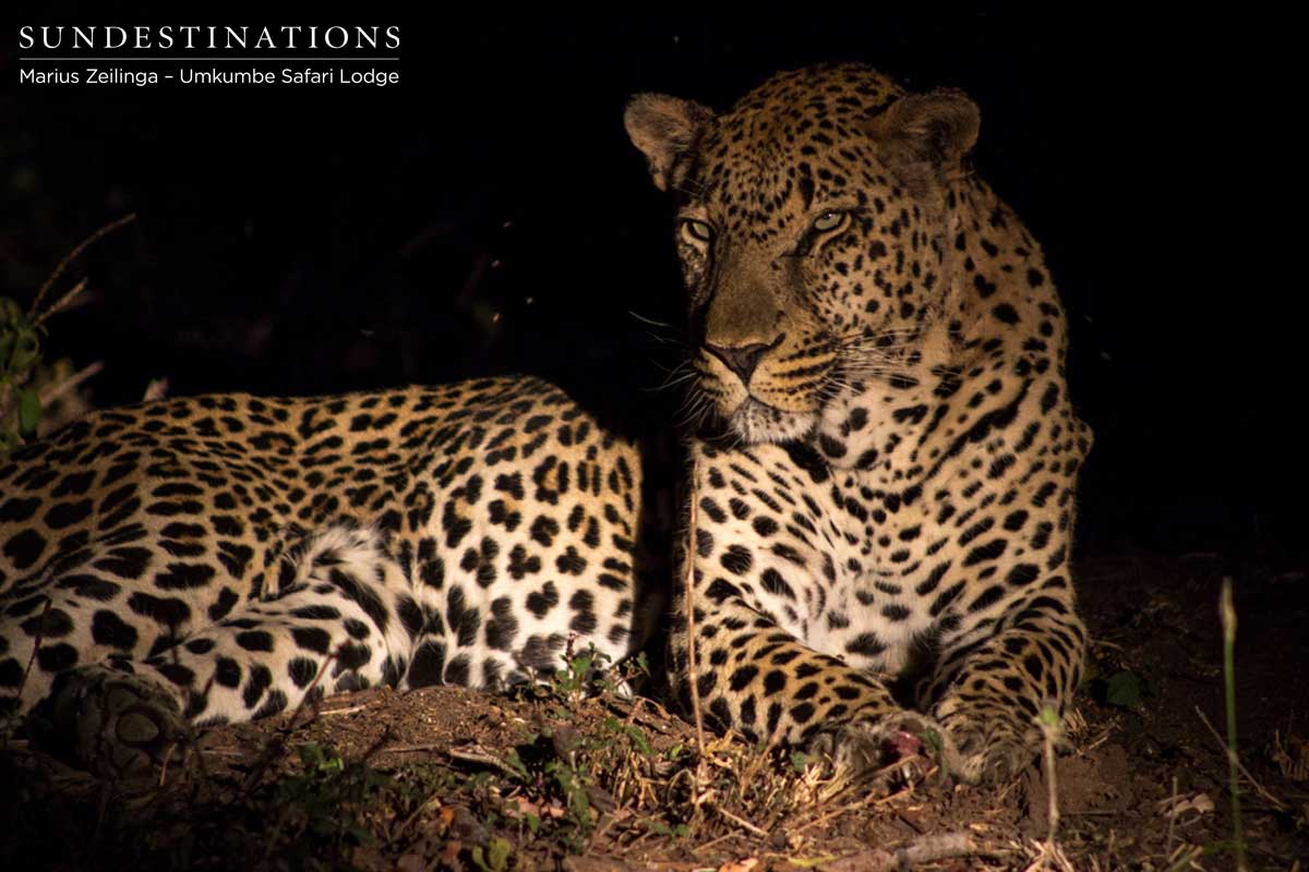 Bicycle Crossing Tom