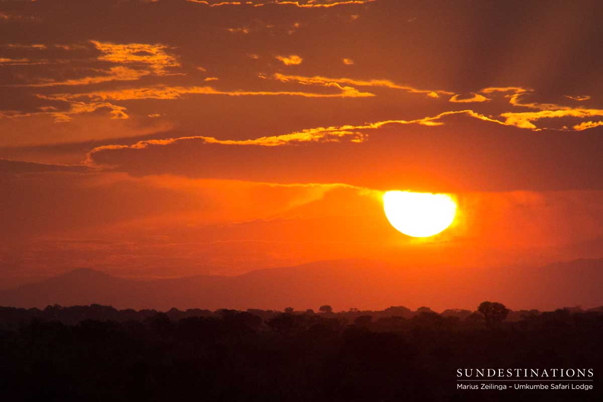 Umkumbe Sabi Sand Sunset
