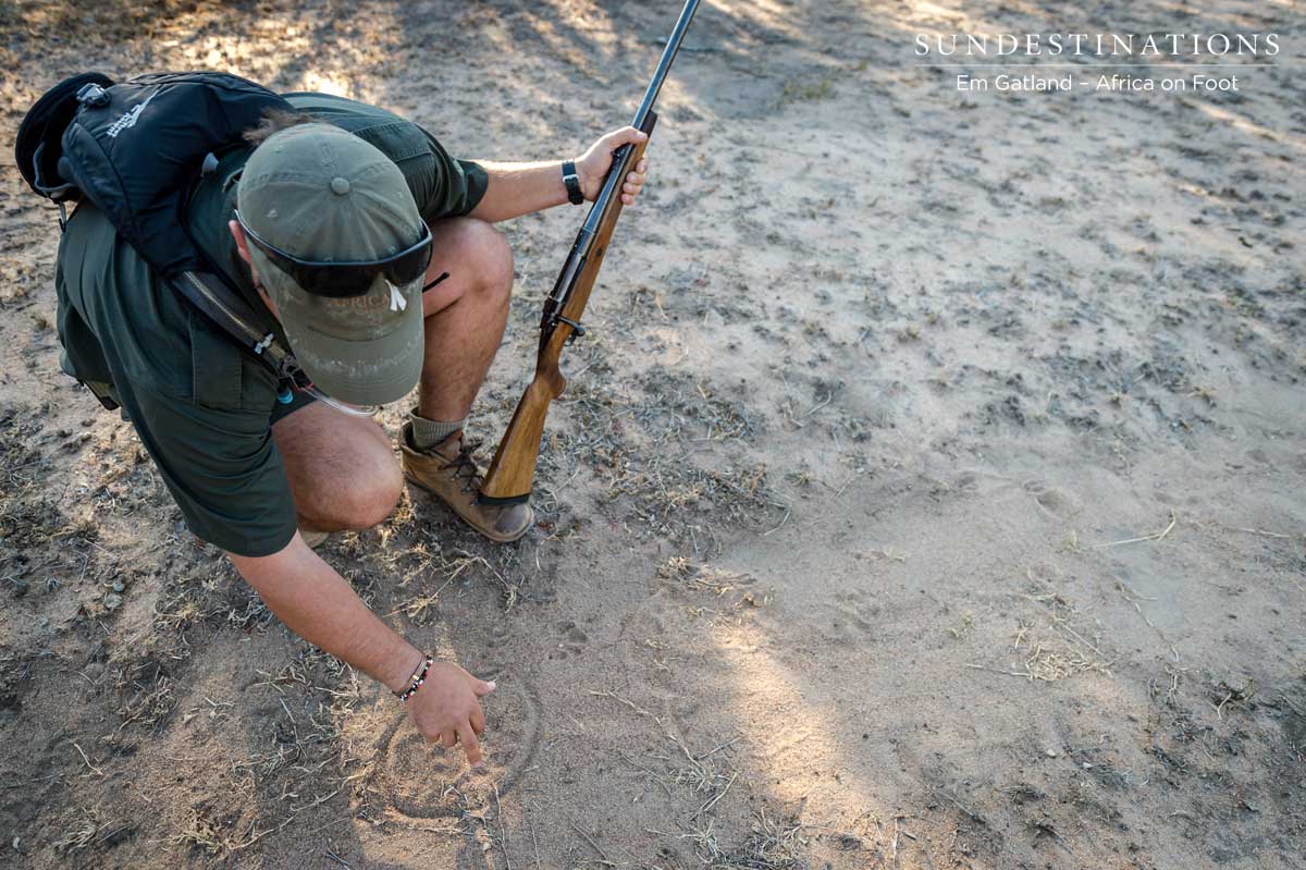 Track Identification