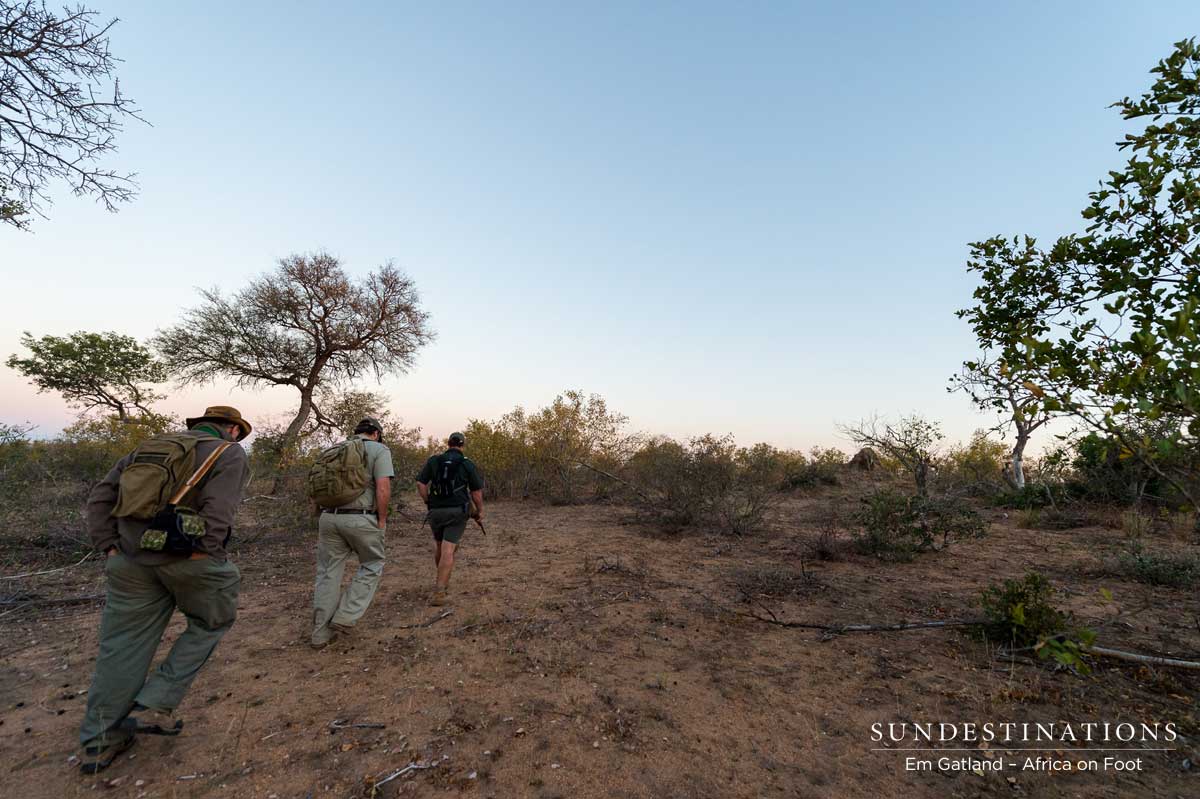 Walking Safari in Klaserie