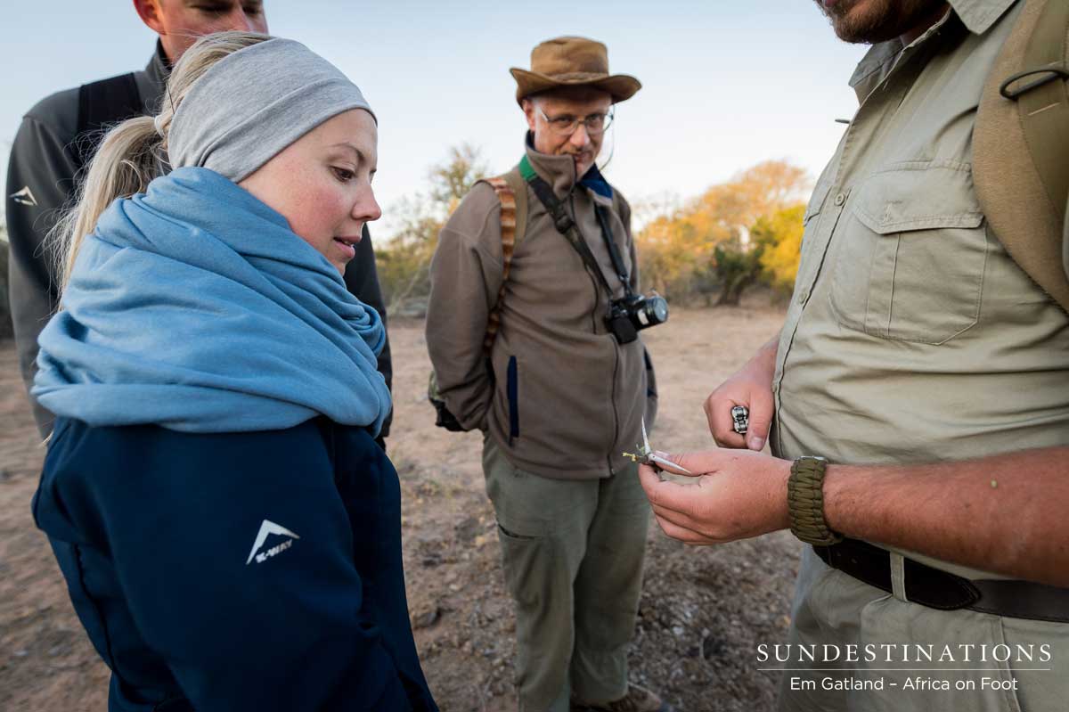 Learning About the Wild