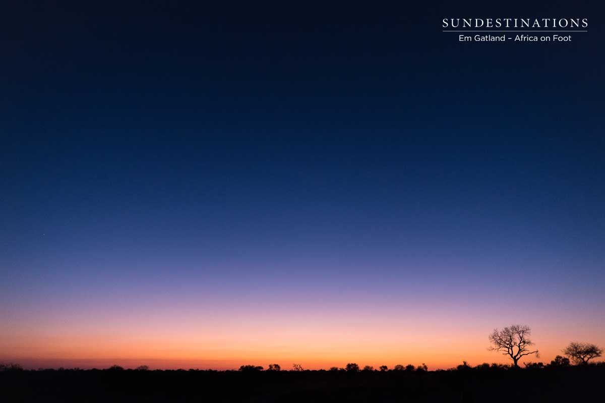 Dusk in the Klaserie Dusk in the Klaserie