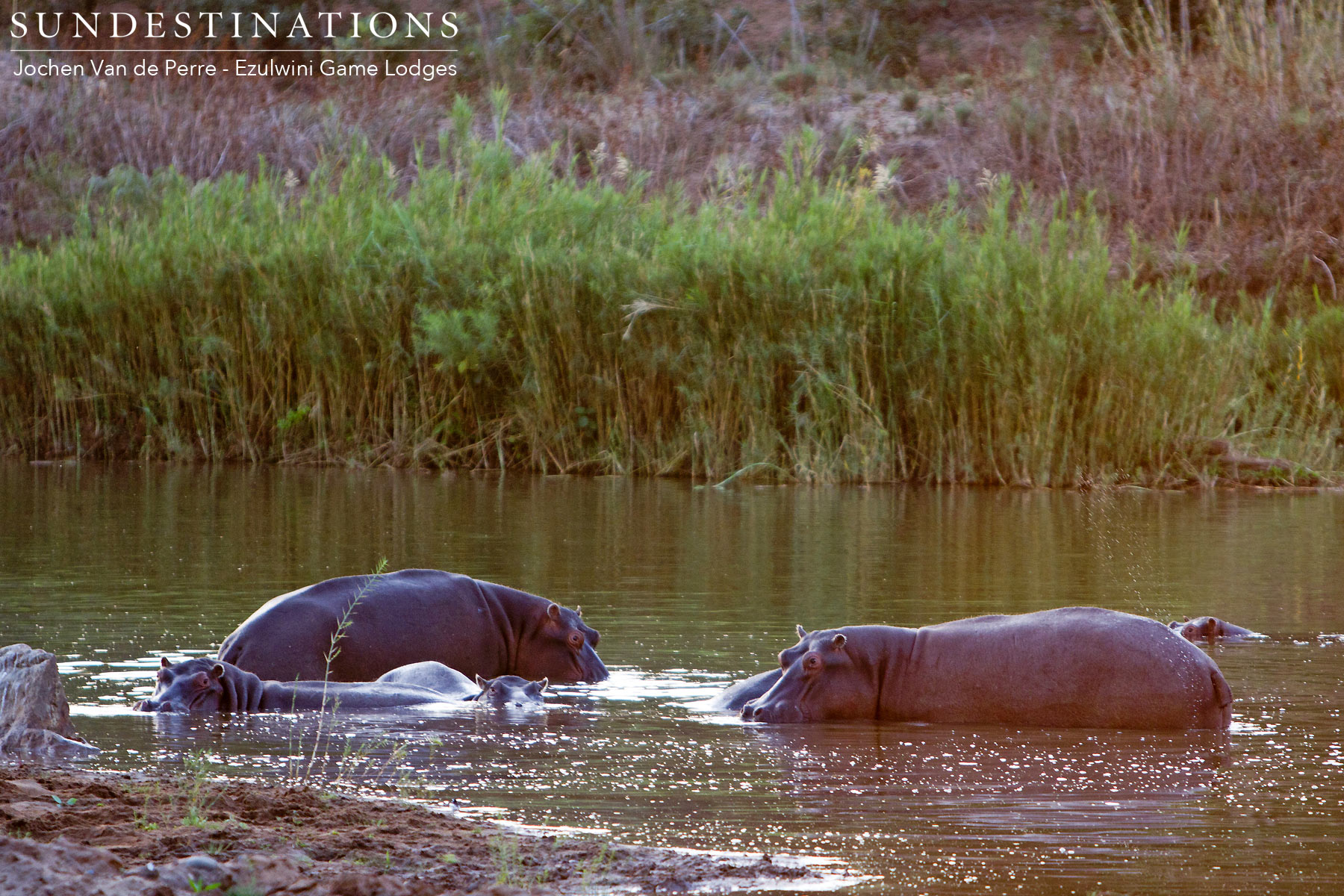Hippo Ezulwini Game Lodges Hippo Ezulwini Game Lodges