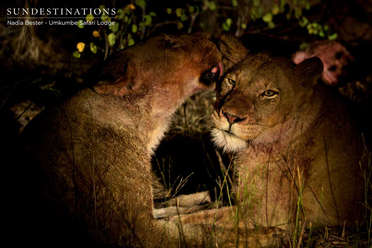 Mhangeni Pride Umkumbe