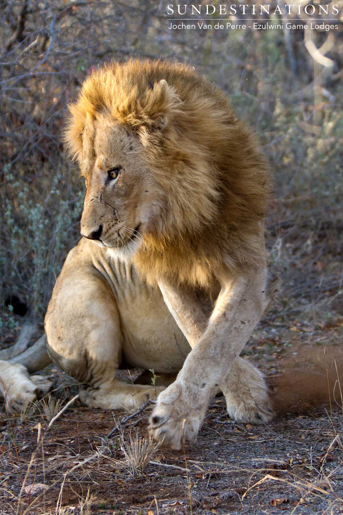 Mohlabetsi Male Coalition Mohlabetsi Male Coalition