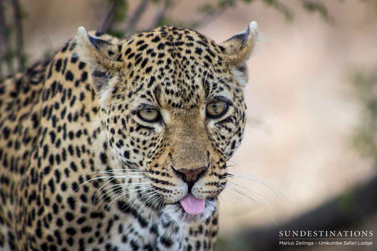 White Dam Umkumbe Sabi White Dam Umkumbe Sabi