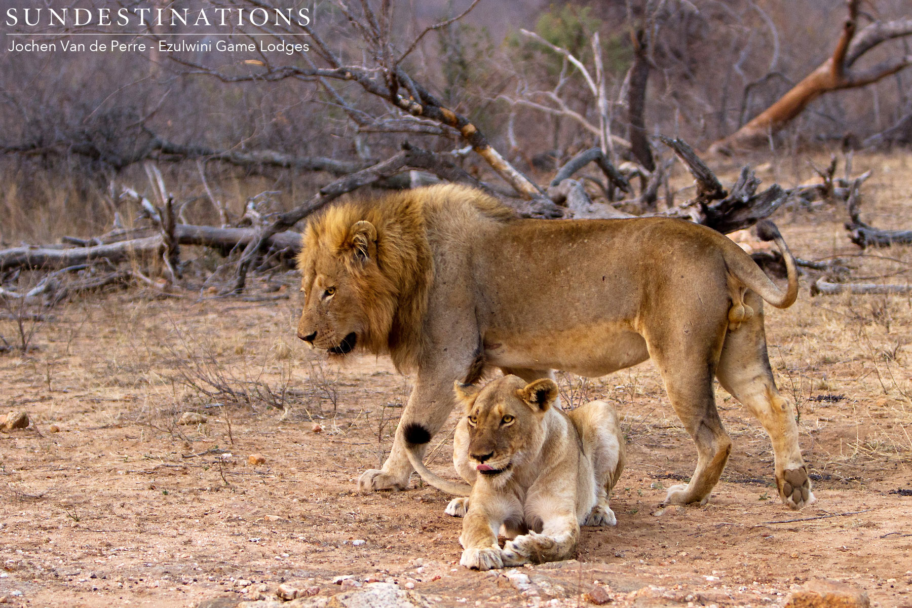 Male and Female River Pride