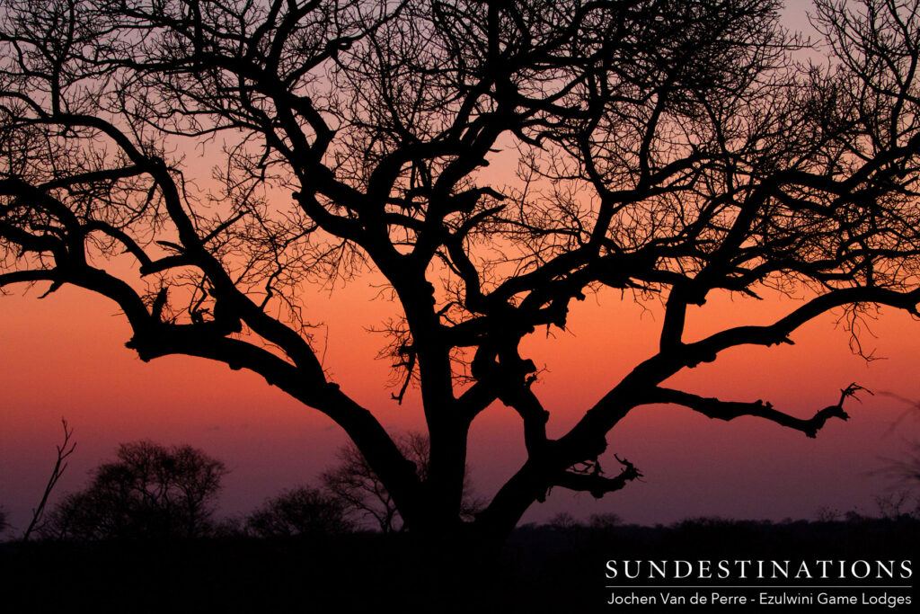 A setting sun paints the most breath-taking picture A setting sun paints the most breath-taking picture