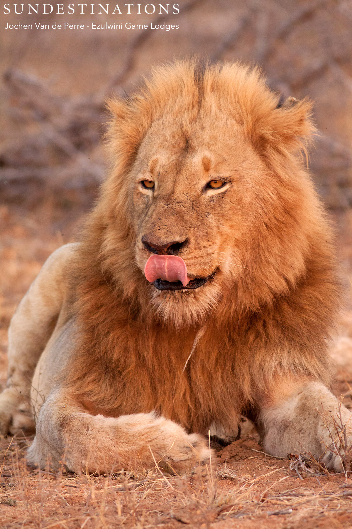 Youngster from River Pride