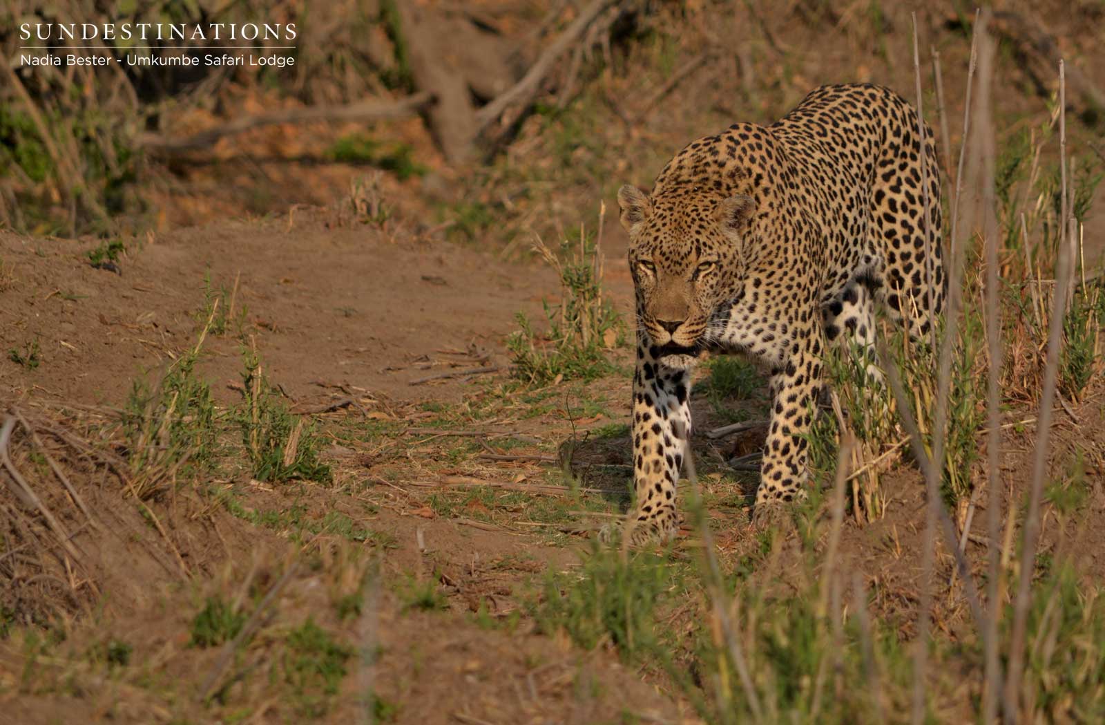 Bicycle Crossing - Umkumbe