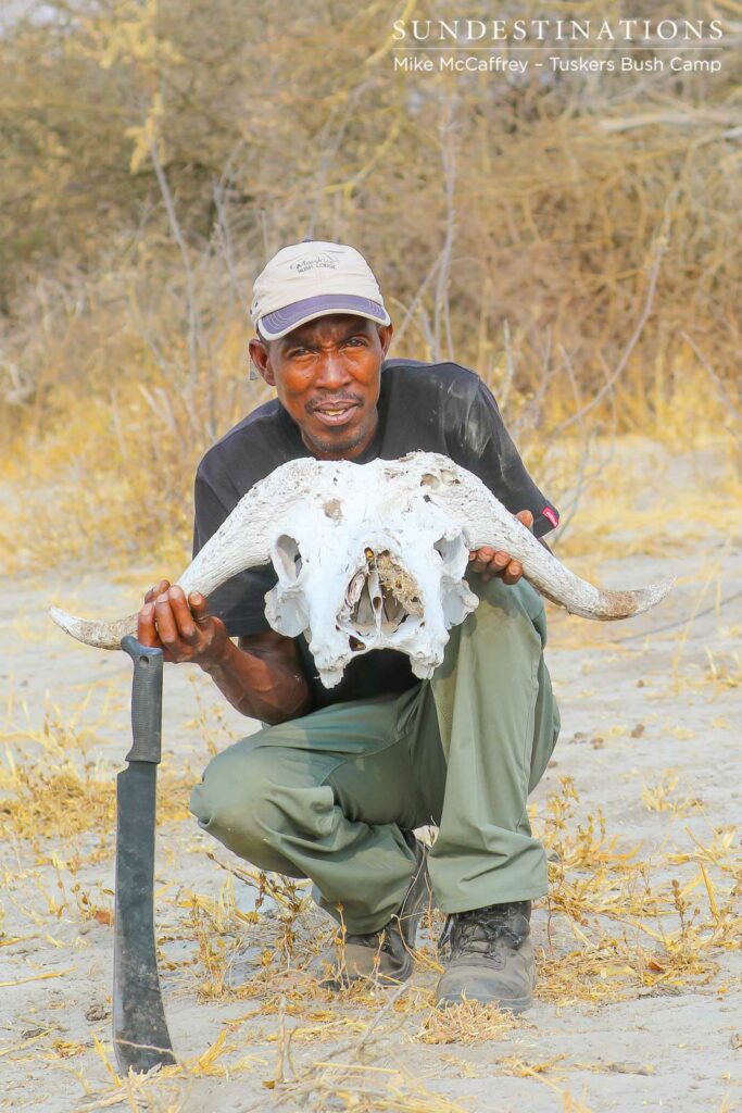 Tracking at Tuskers Bush Camp Tracking at Tuskers Bush Camp