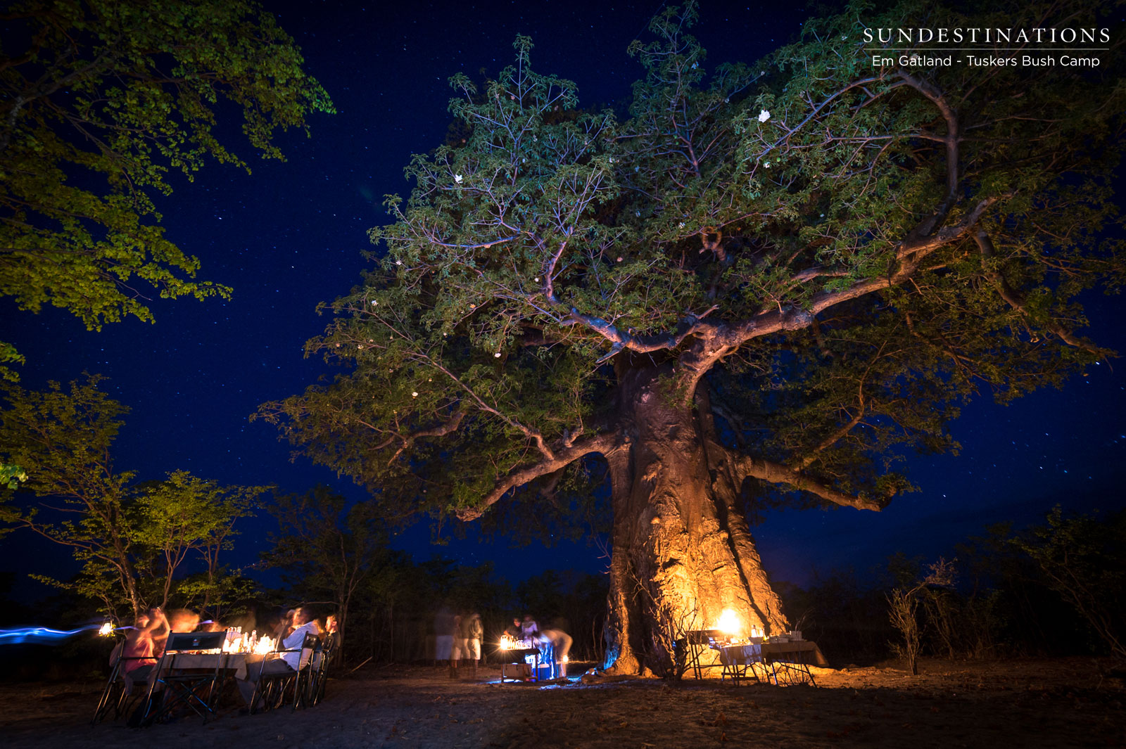 Tuskers Baobab at Night Tuskers Baobab at Night