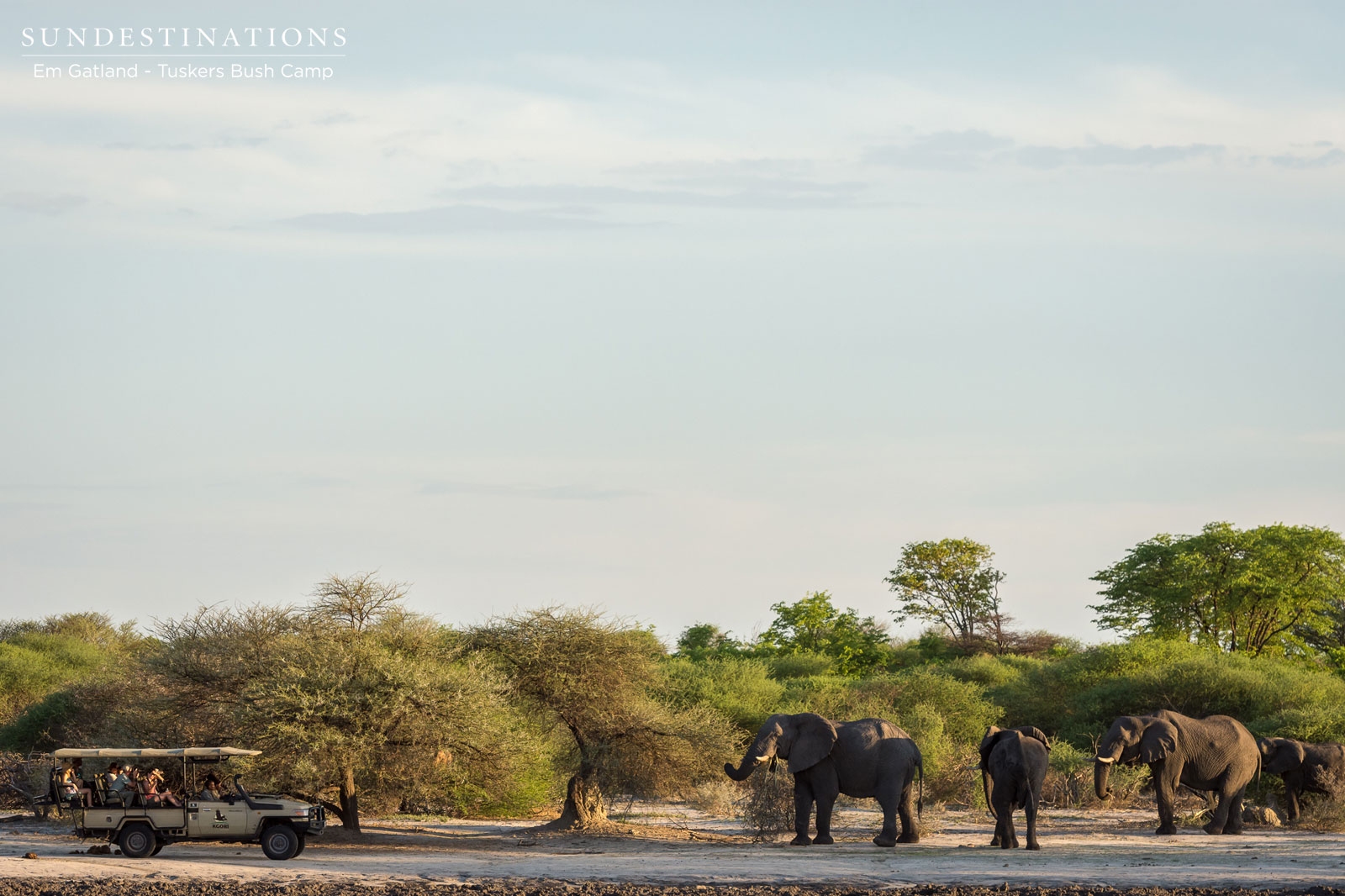 Tuskers Game Drive Tuskers Game Drive