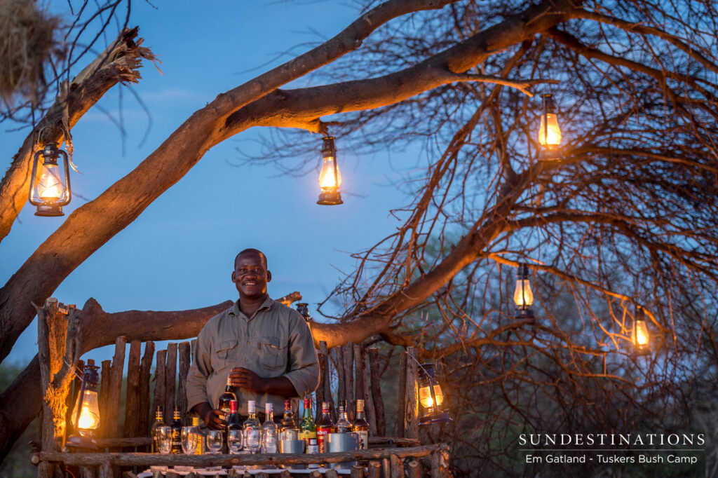 Tuskers Lanterns in Trees