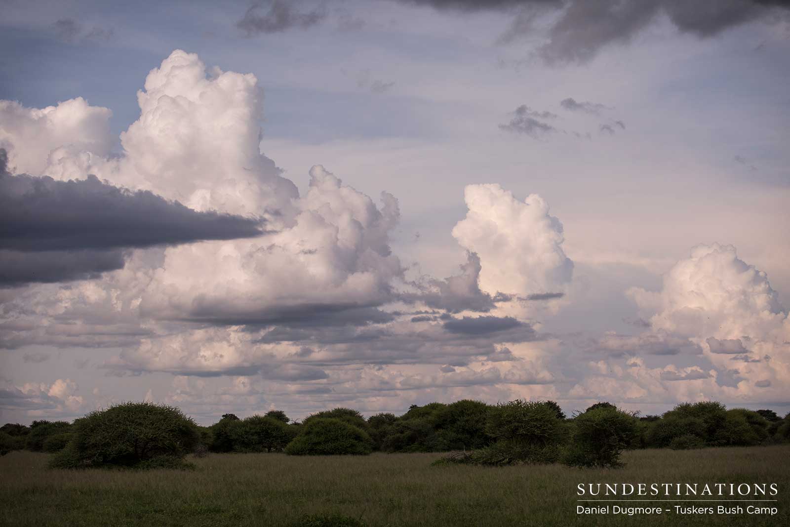 Little Nxai Pan Landscape