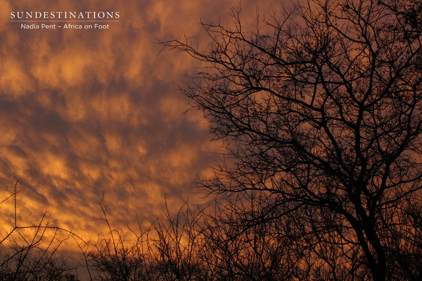Africa on Foot Sunset