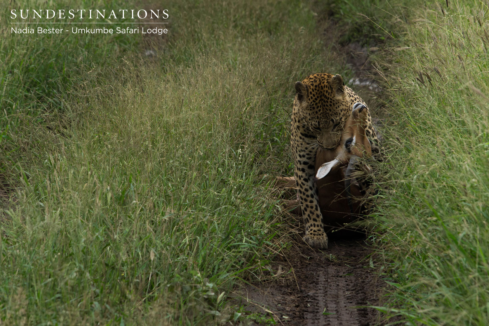 Umkumbe Mxabene with Kill