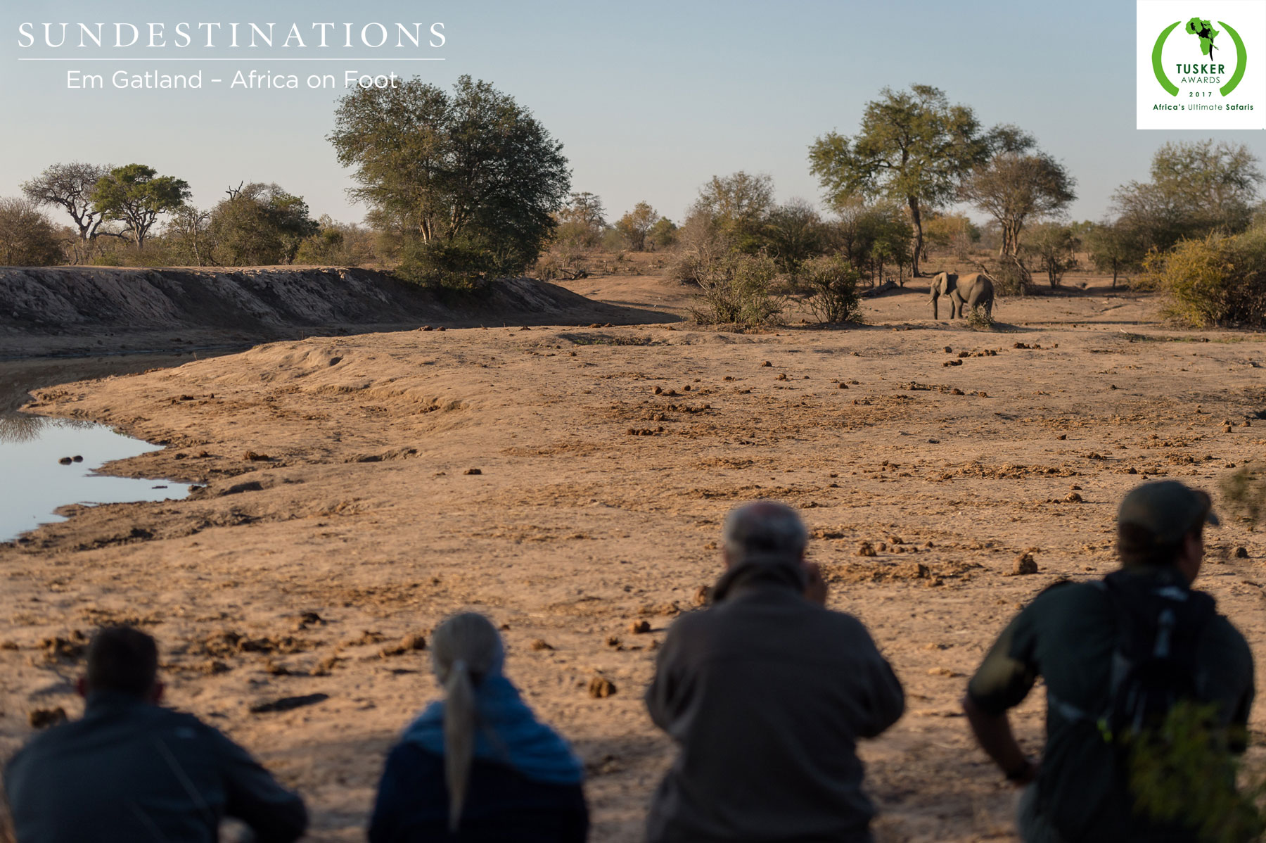 Walking Safari Watching Elephants Walking Safari Watching Elephants