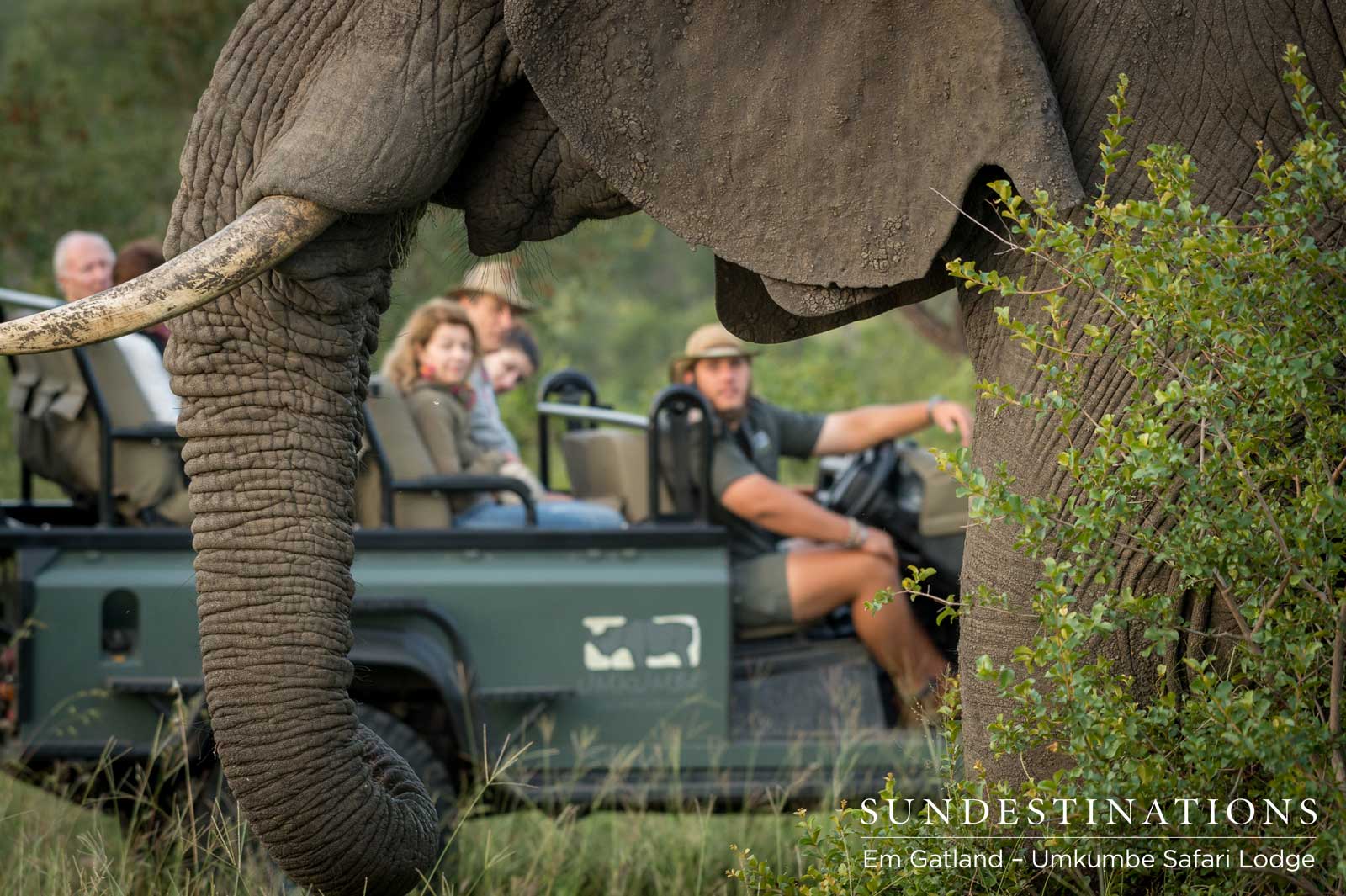 Elephant Encounter Umkumbe