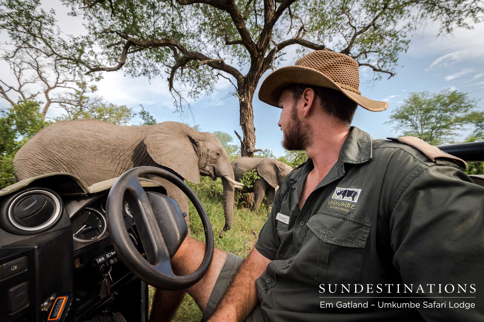 Game Viewer - Elephants