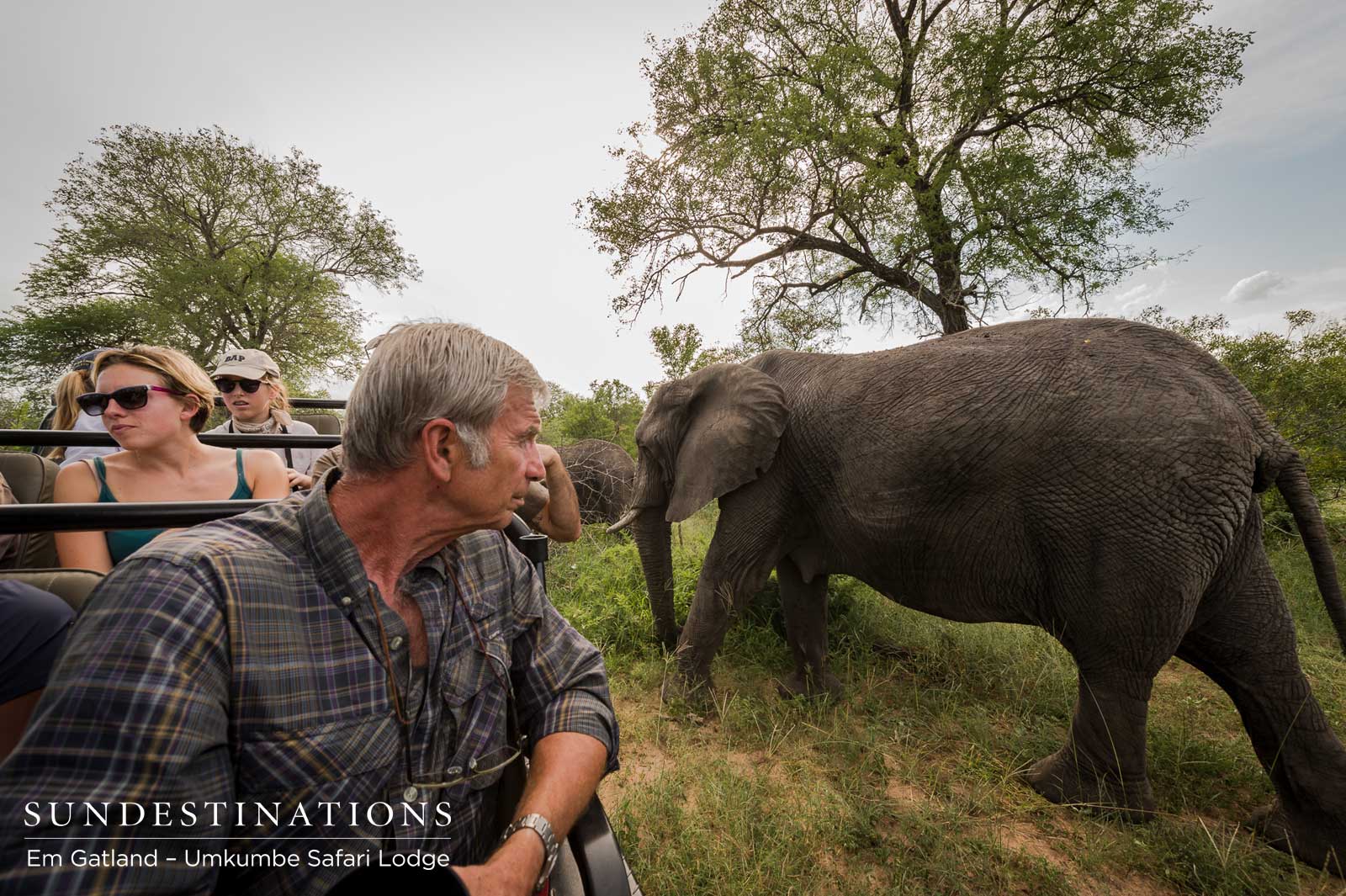 Guests with Elephants Umkumbe
