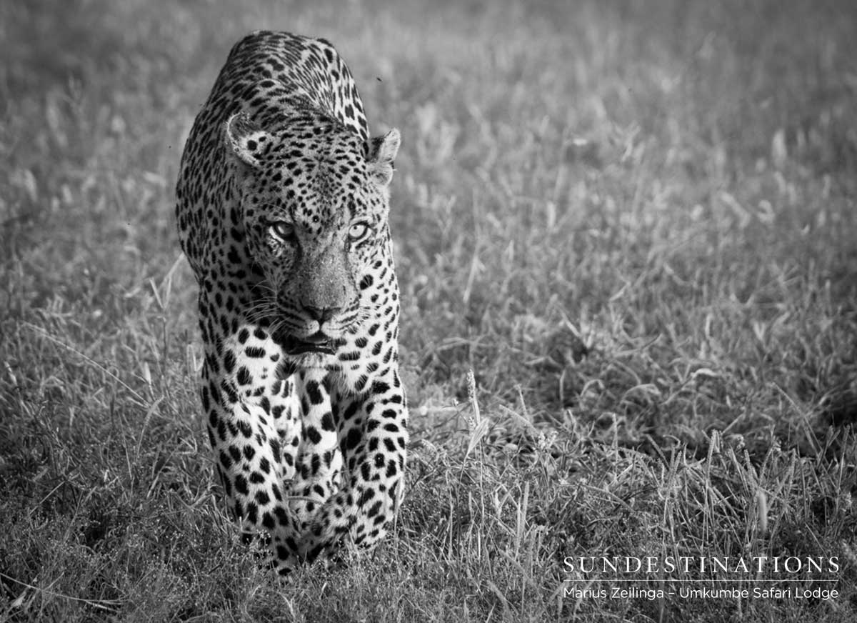 Umkumbe Bicycle Crossing Umkumbe Bicycle Crossing