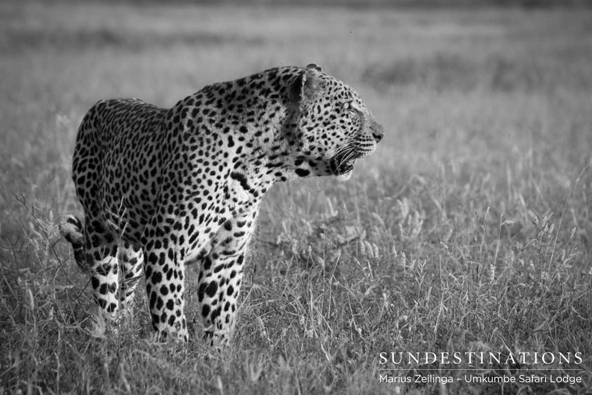 Umkumbe Bicycle Crossing