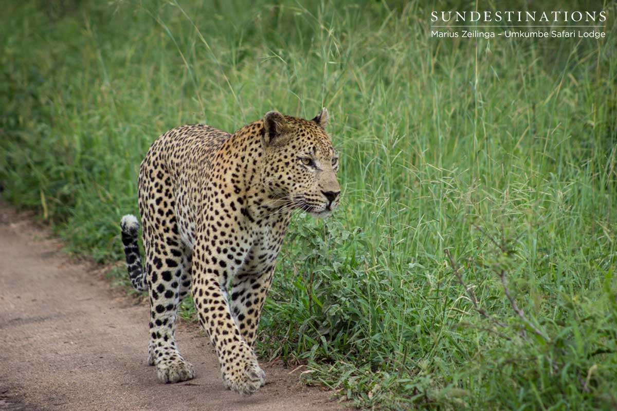 Umkumbe Mxabene Walking