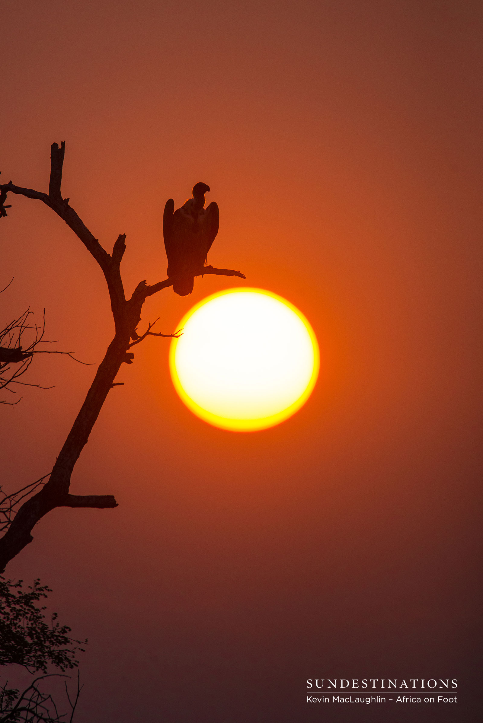 Africa on Foot Sunset