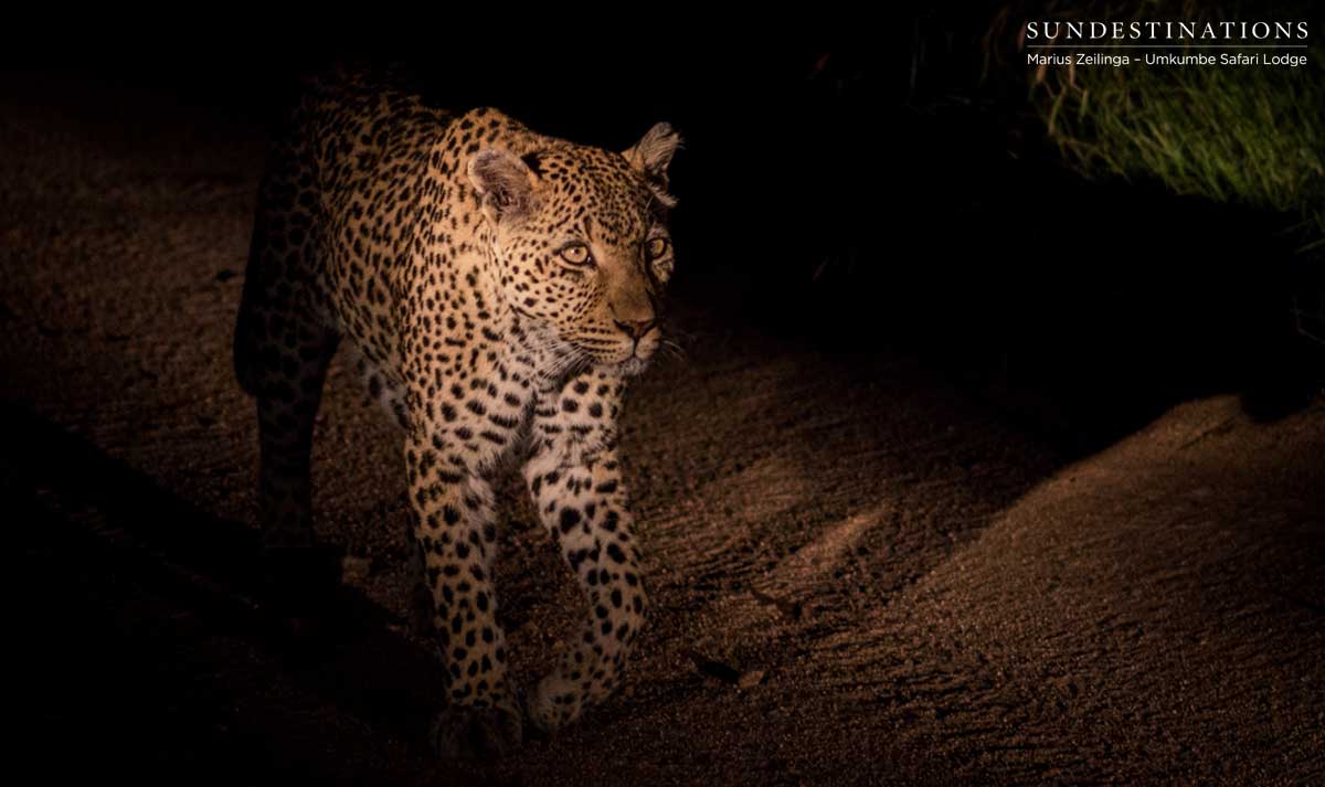 White Dam in the Darkness