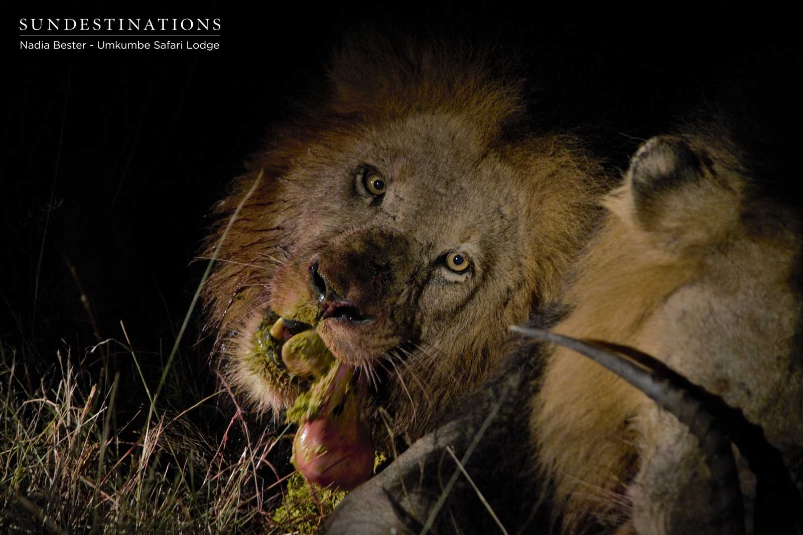 Matshipiri Devouring Kill