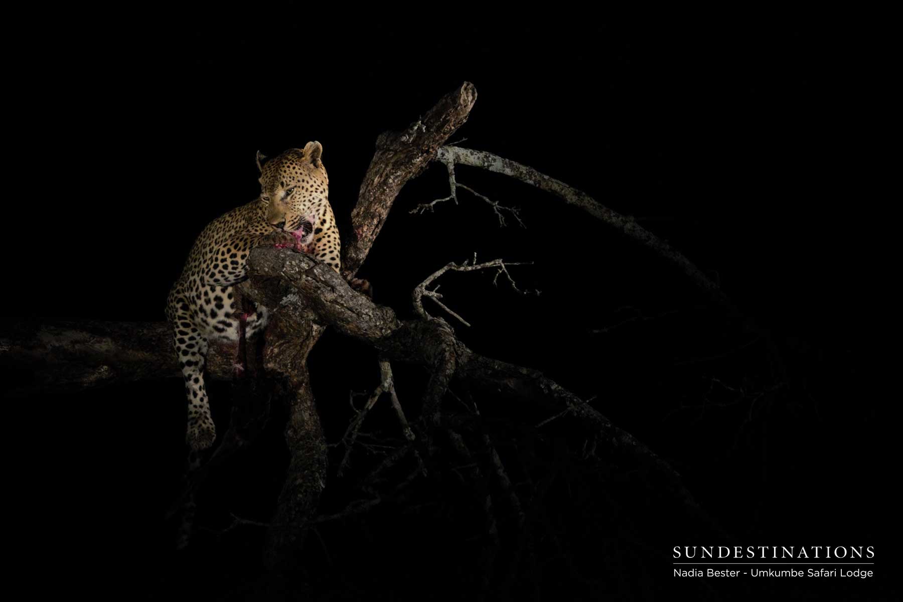 Mxabene with Kill Sabi Sand