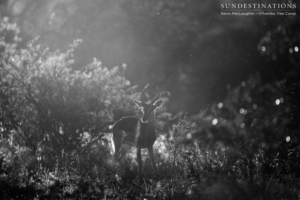 A still moment in the buzz of the early morning A still moment in the buzz of the early morning