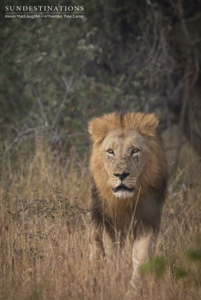 The return of the Trilogy male we presumed to be dead The return of the Trilogy male we presumed to be dead