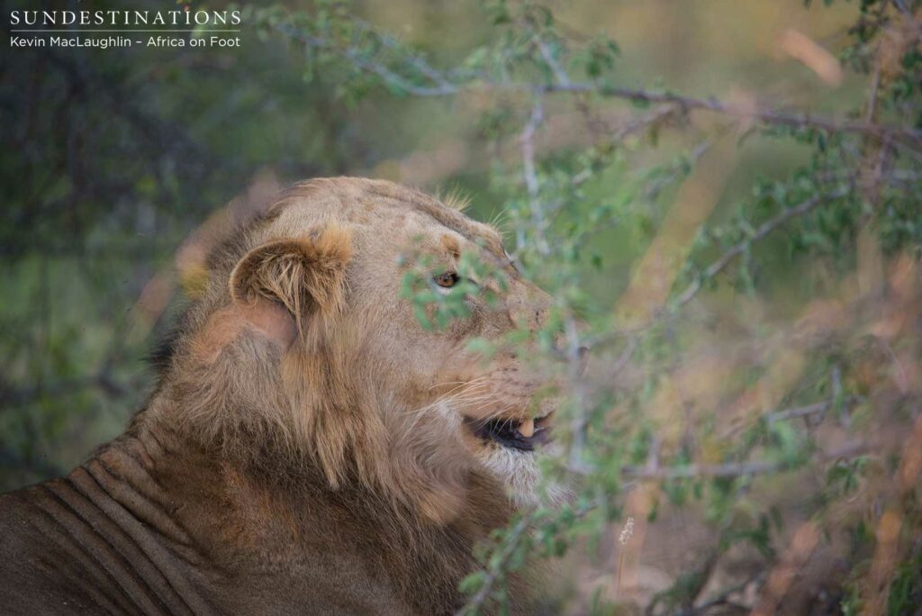 Beauty is in the eye of the beholder Beauty is in the eye of the beholder