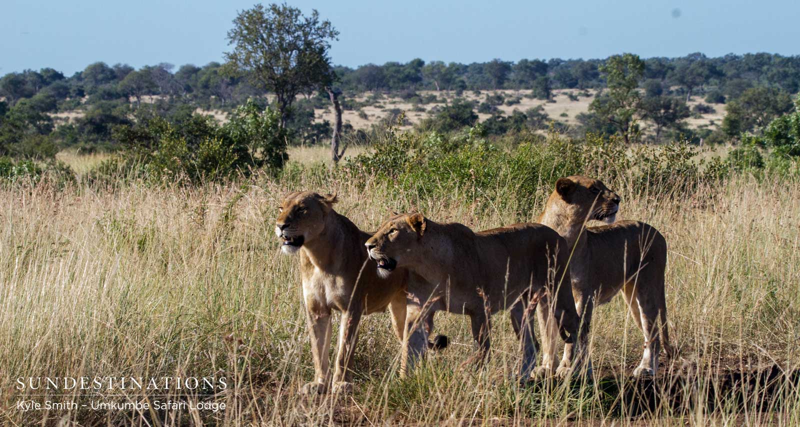 Mhangeni Breakaway Lionesses