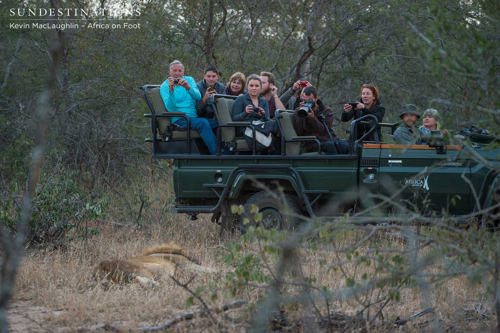 Africa on Foot in Lion Sighting