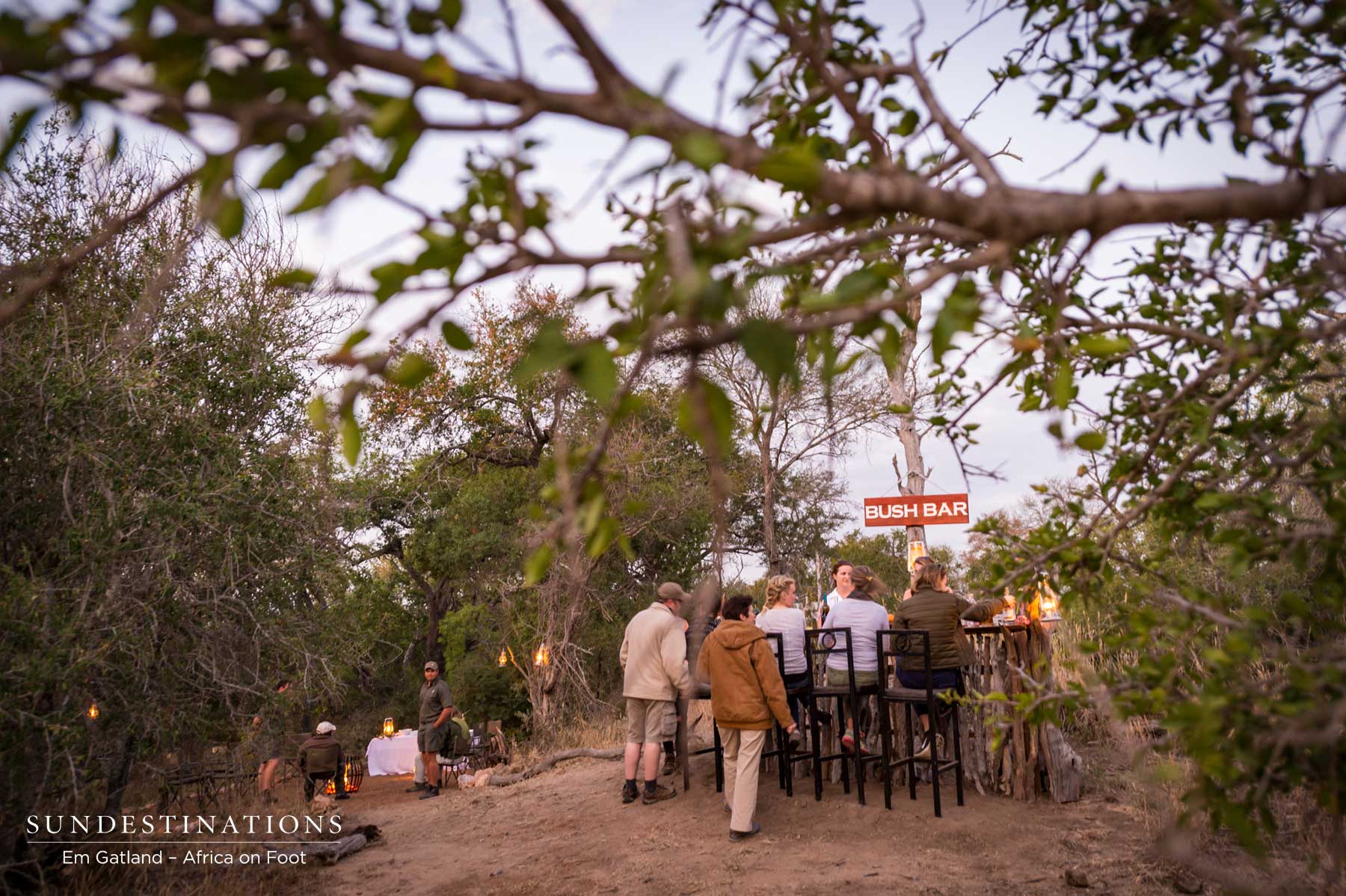 Klaserie Bush Bar Wilderness Klaserie Bush Bar Wilderness