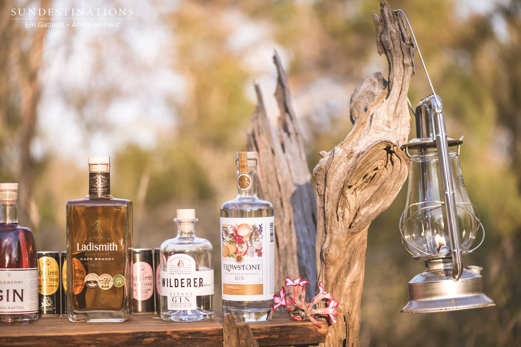 Gins Galore in the Klaserie Gins Galore in the Klaserie